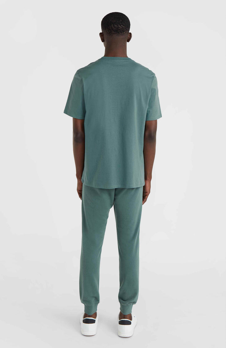 Small Logo Jogginghose | North Atlantic