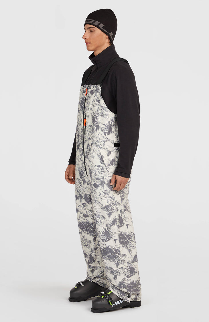 FWC'Peak Bib Skihose | Grey Mountain Landscape