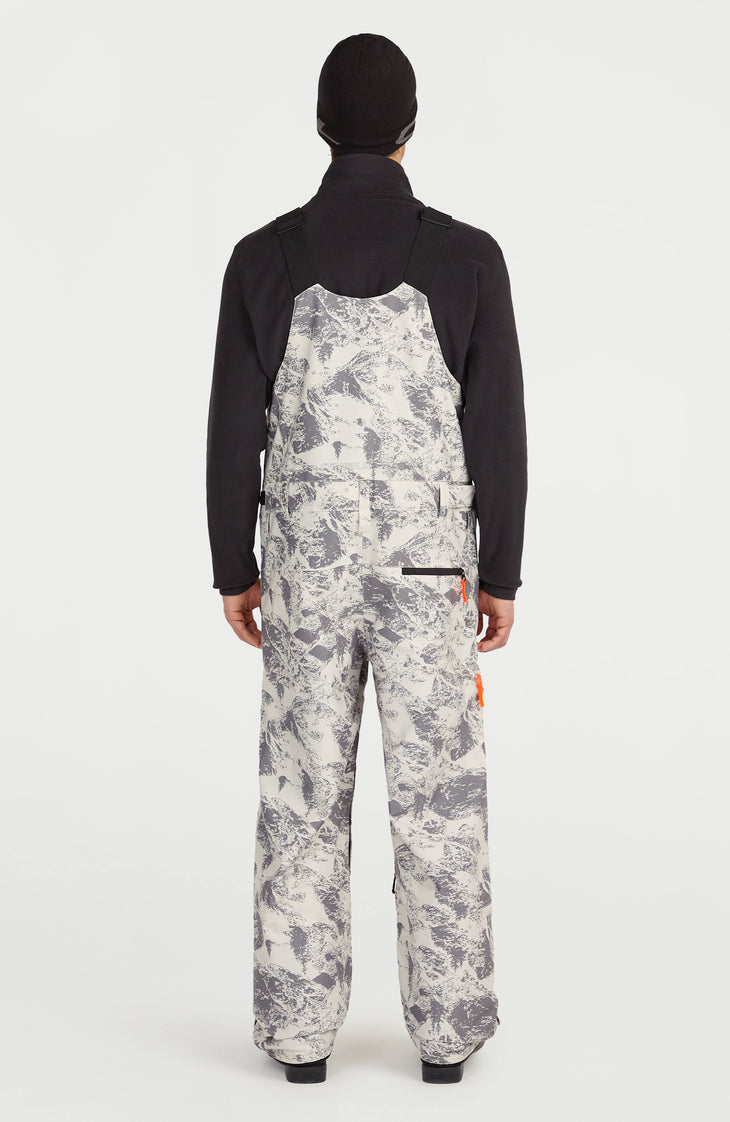 FWC'Peak Bib Skihose | Grey Mountain Landscape
