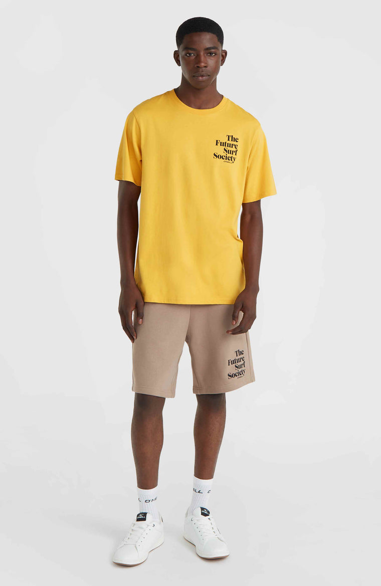 Future Surf Society Shorts | Pumpkin Smoke Future Surf Society Shorts | Pumpkin Smoke