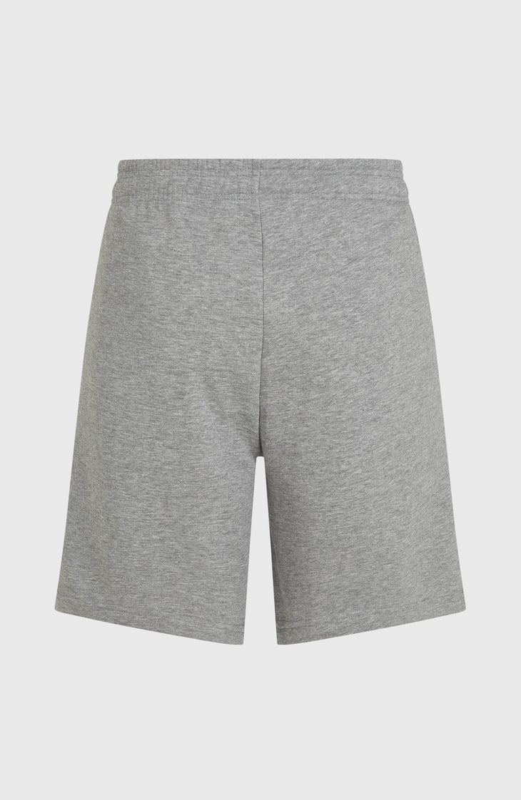 Future Surf Society Shorts | Silver Melee