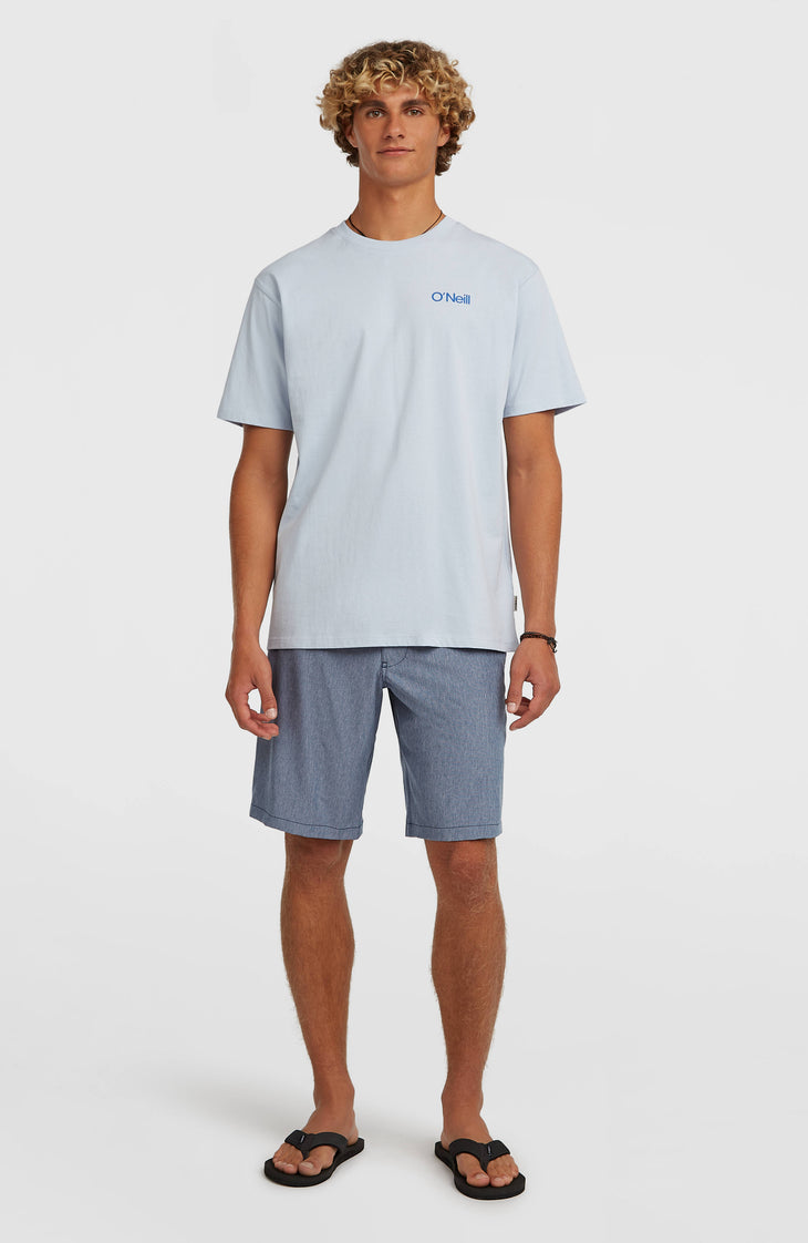 Hybrid 19'' Melange Shorts | English Evening