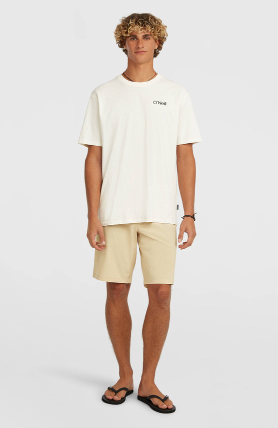 Hybrid 19" Shorts | Cocoa Sand