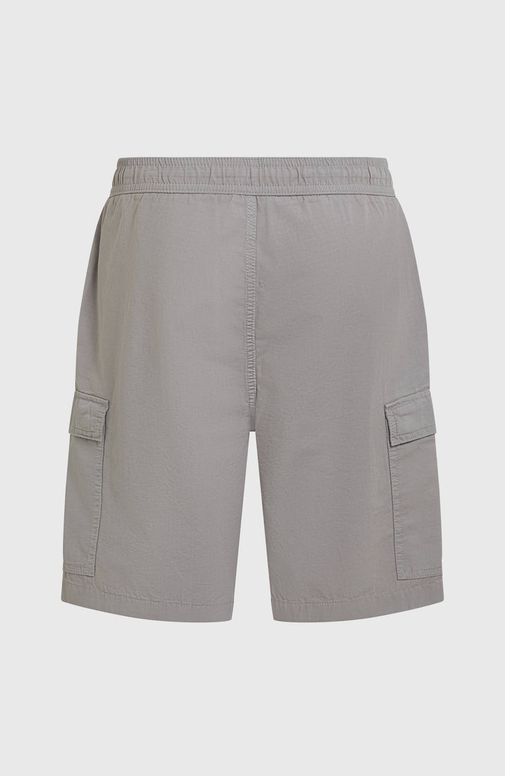 O'Neill Essentials Ripstop Cargo-Shorts | Brushed Aluminium