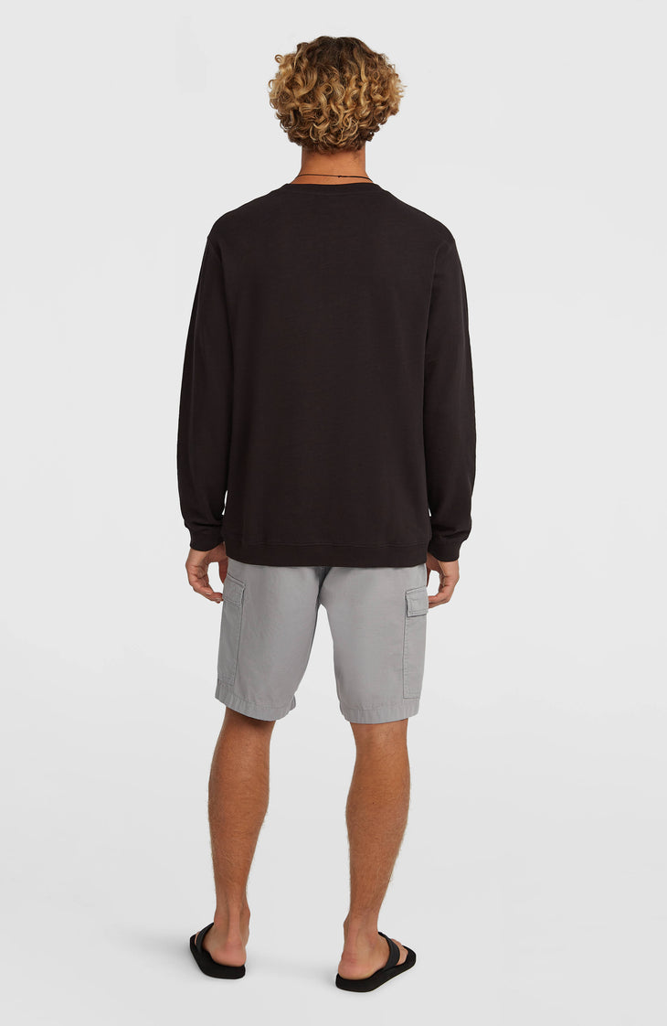 O'Neill Essentials Ripstop Cargo-Shorts | Brushed Aluminium
