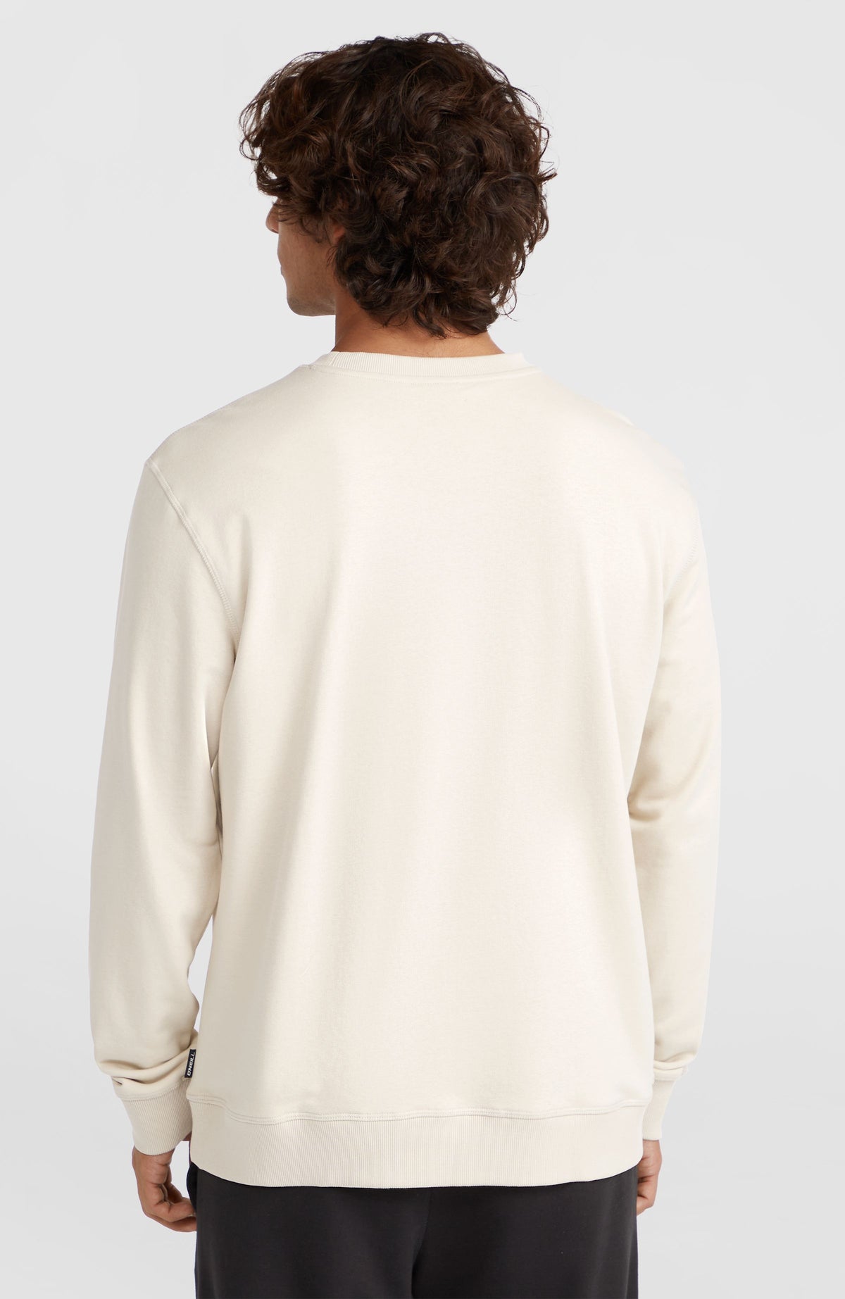 Small Logo Crew Sweatshirt | Atmosphere