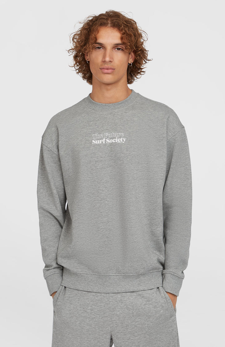 Future Surf Society Crew Sweatshirt | Silver Melee