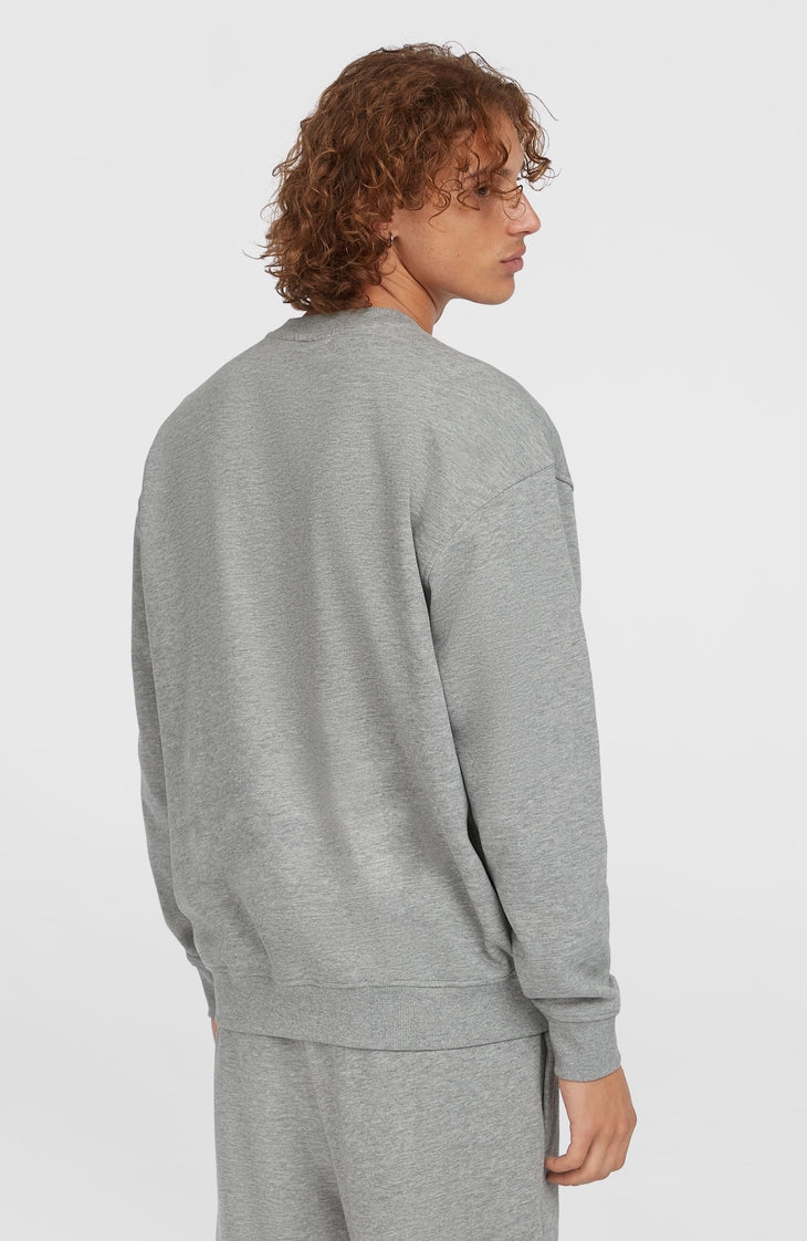 Future Surf Society Crew Sweatshirt | Silver Melee