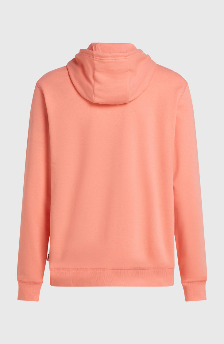O'Neill Must-Have Graphic Hoodie | Funky Peach