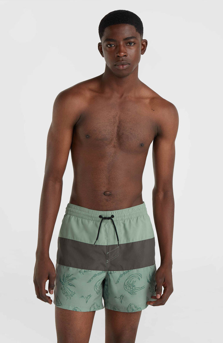 Mix and Match Cali Block 15'' Badehose | Green Vintage Surfer Mix and Match Cali Block 15'' Badehose | Green Vintage Surfer