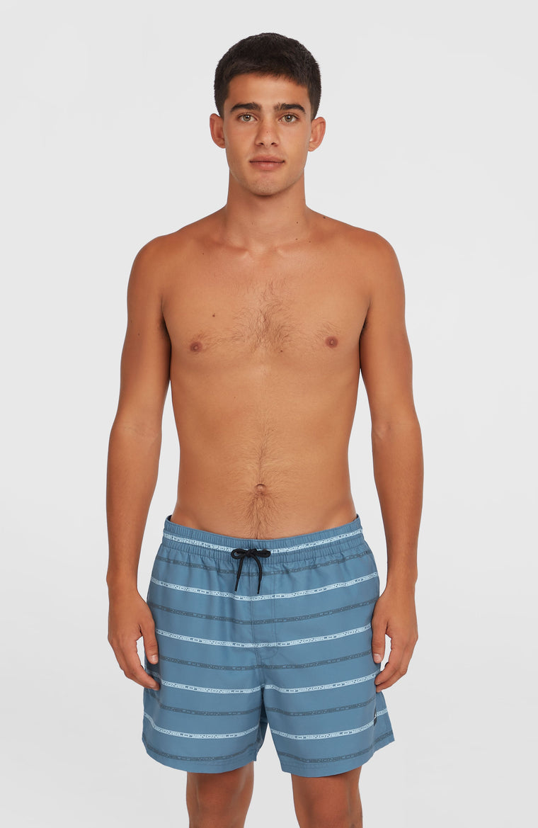 Cali First 15'' Badehose | Blue O'Neill Stripe Cali First 15'' Badehose | Blue O'Neill Stripe