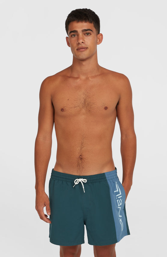 Retro 14'' Badehose | Alma Steel Colour Block