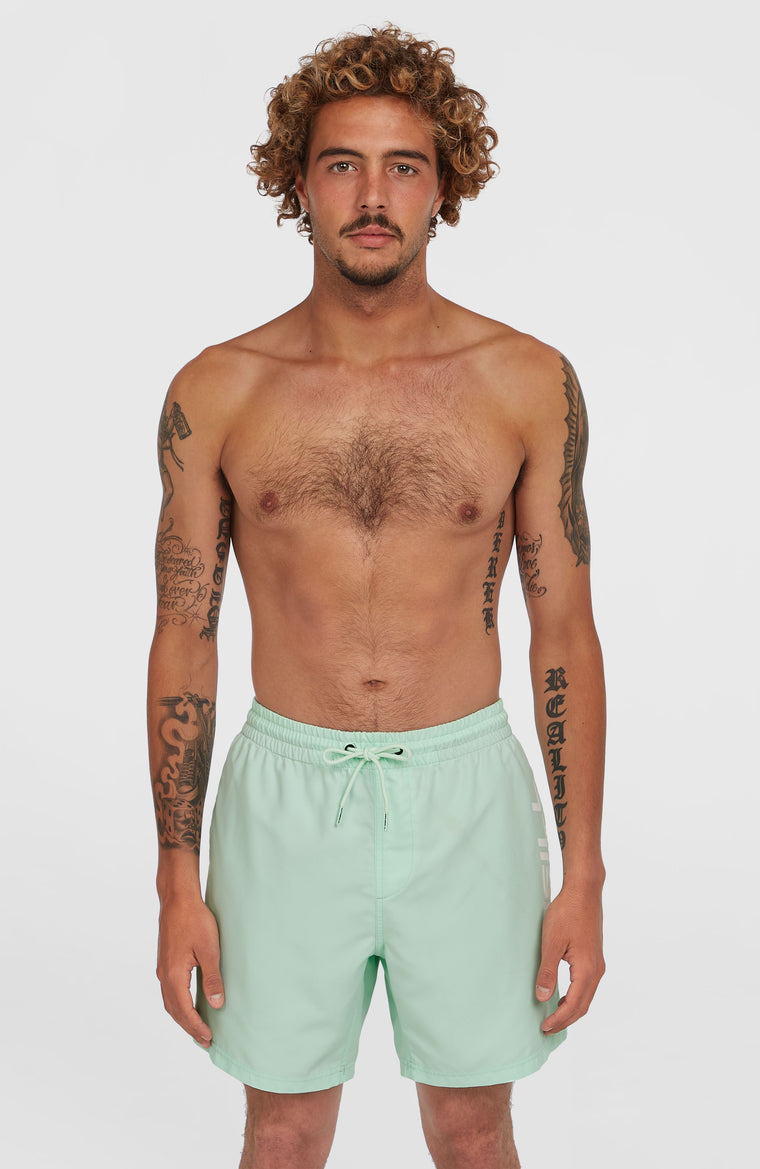 Cali 16'' Badehose | Mildrew Mint Cali 16'' Badehose | Mildrew Mint