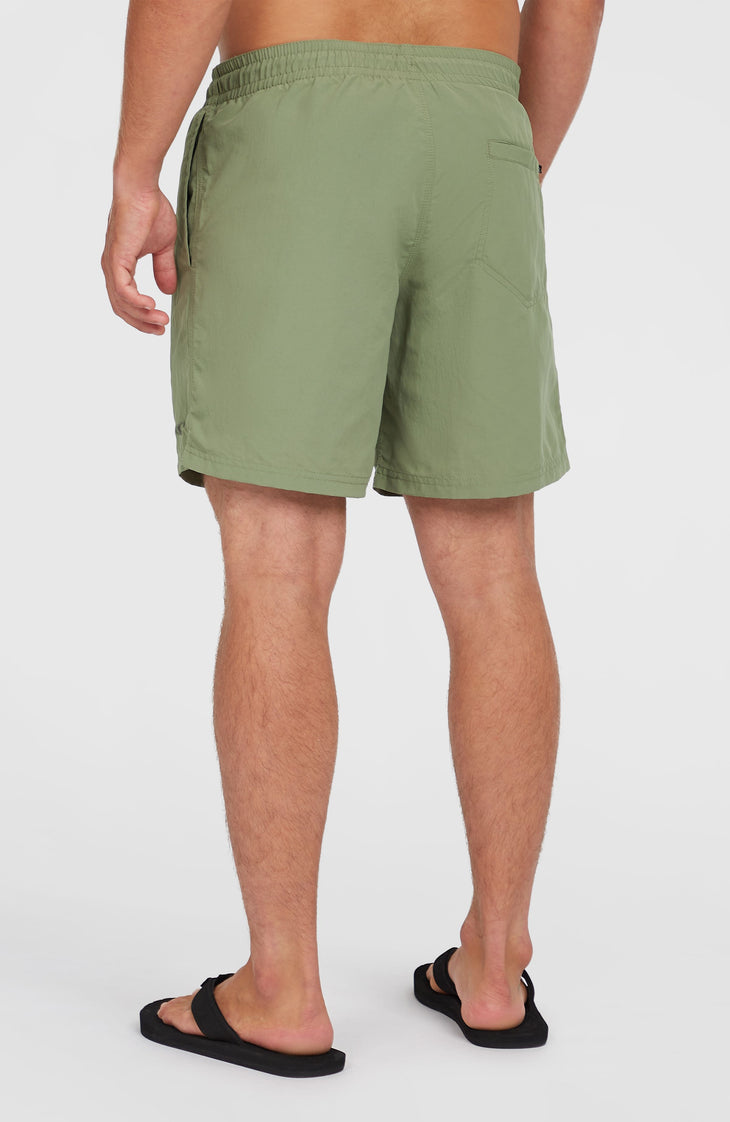 O'Neill Vert 16'' Badehose | Avery Fern