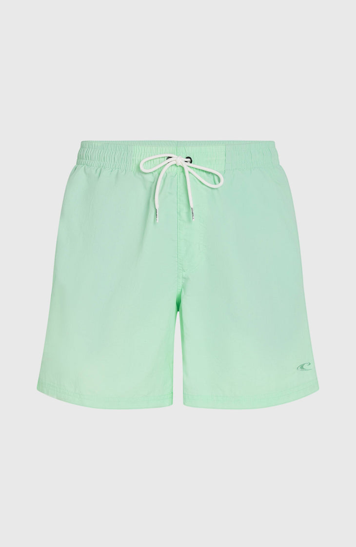 O'Neill Vert 16'' Badehose | Mildrew Mint