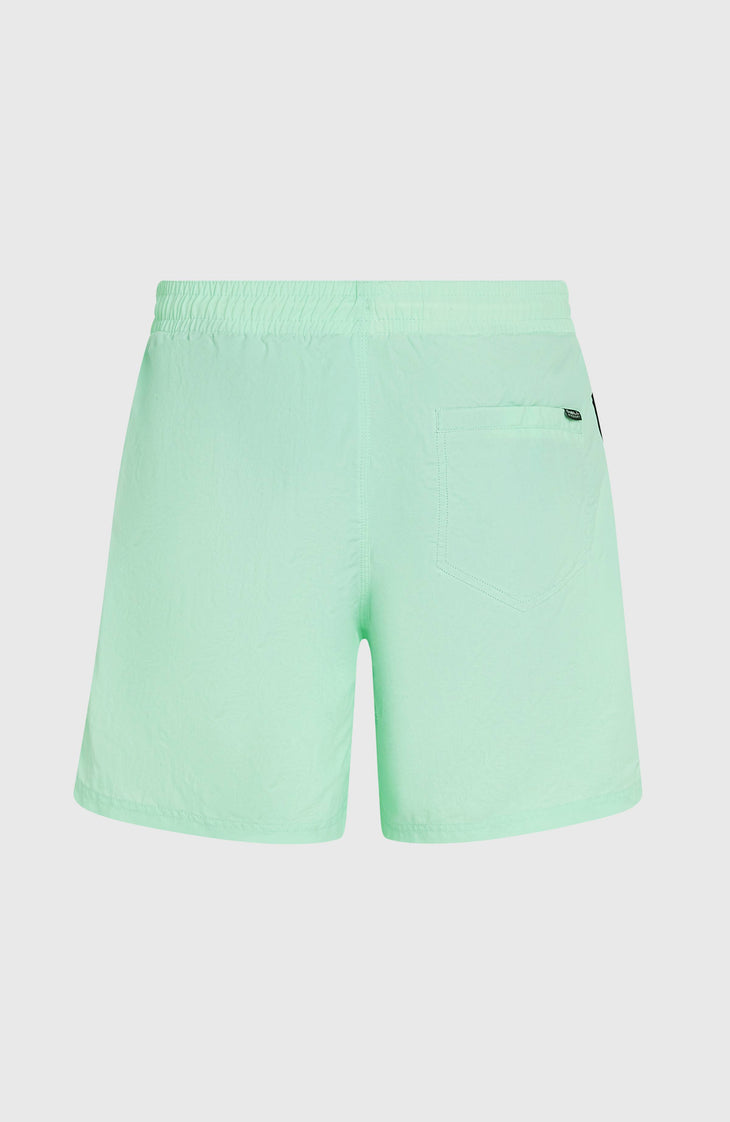 O'Neill Vert 16'' Badehose | Mildrew Mint