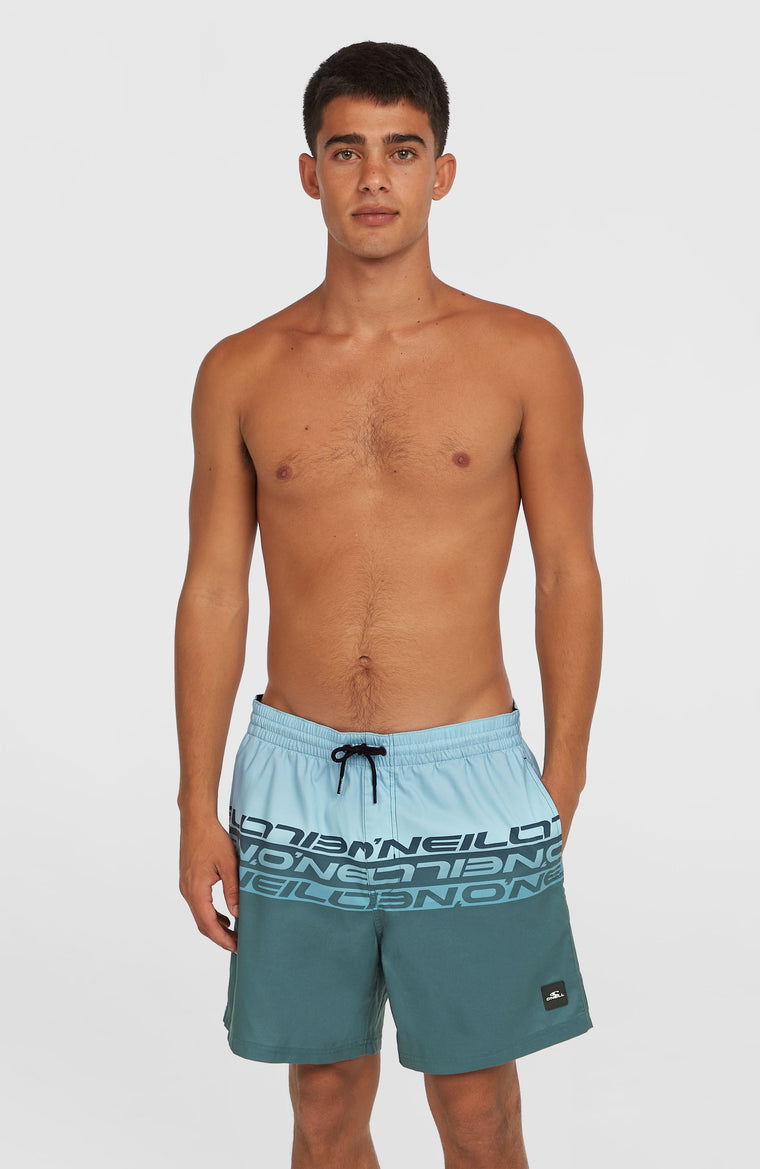 Cali Stripe 16'' Badehose | Blue Upside Down Cali Stripe 16'' Badehose | Blue Upside Down