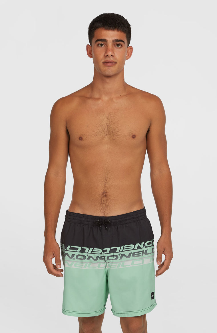 Cali Stripe 16'' Badehose | Green/Black Upside Down Clean Cali Stripe 16'' Badehose | Green/Black Upside Down Clean