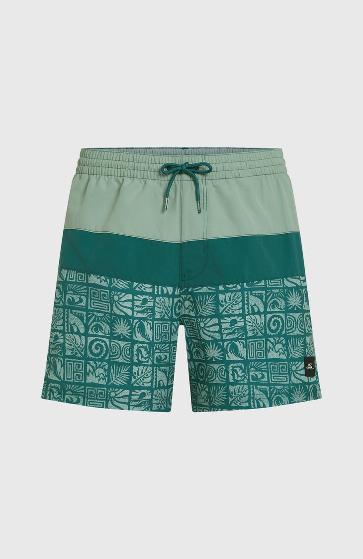 O'Neill Block 15'' Badehose | Blue Bricks