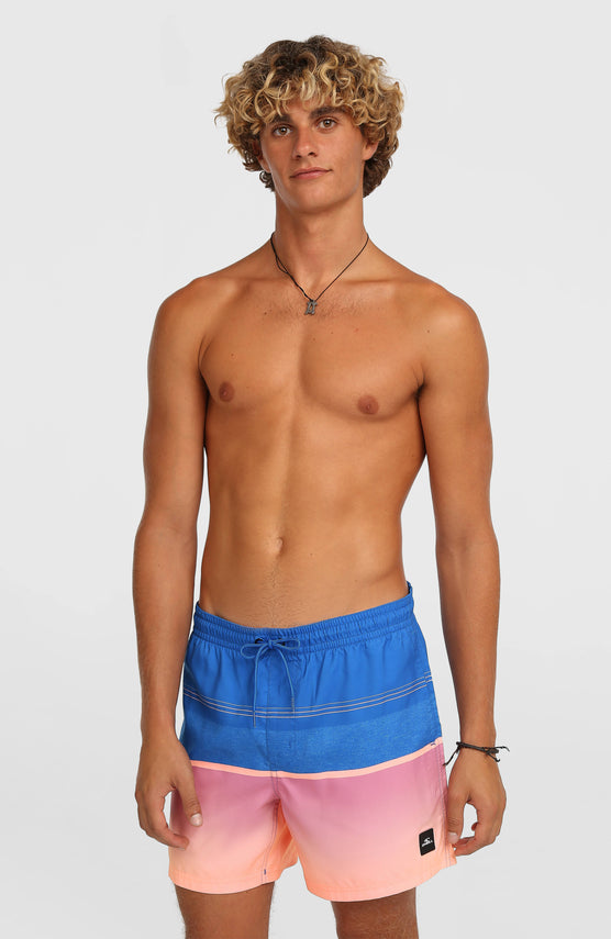 O'Neill Gradient 15'' Badehose | Blue Gradient Stripe