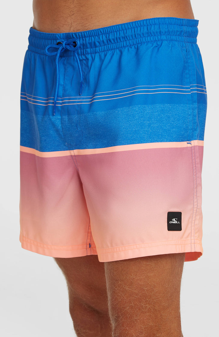 O'Neill Gradient 15'' Badehose | Blue Gradient Stripe