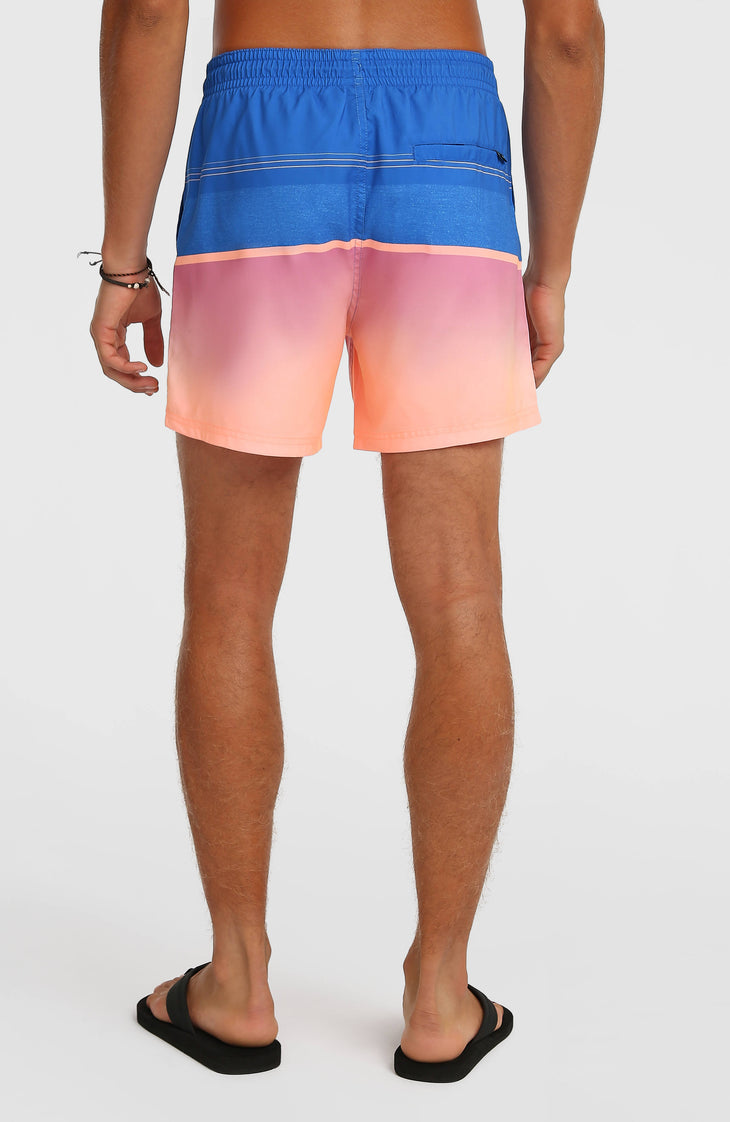 O'Neill Gradient 15'' Badehose | Blue Gradient Stripe
