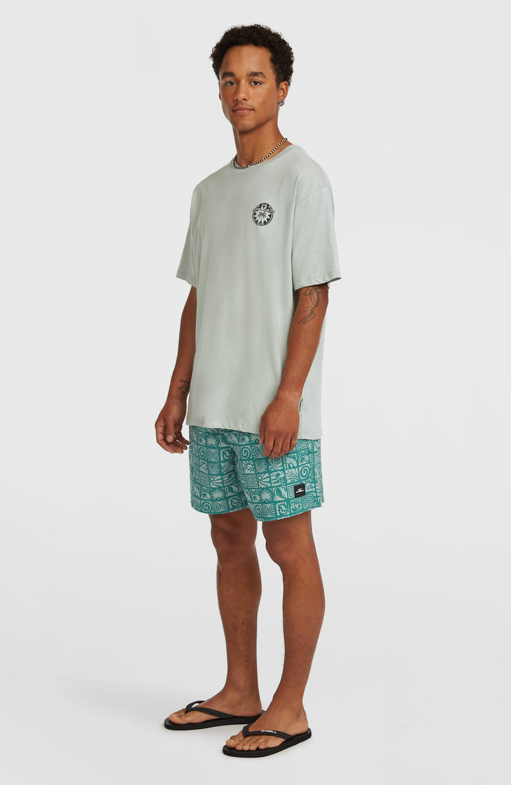 O'Neill Print 16'' Badehose | Blue Bricks