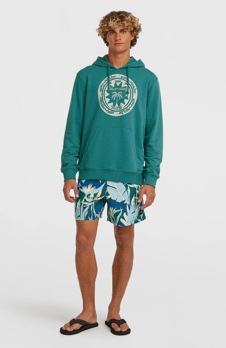 O'Neill Print 16'' Badehose | Blue Tropicana Big