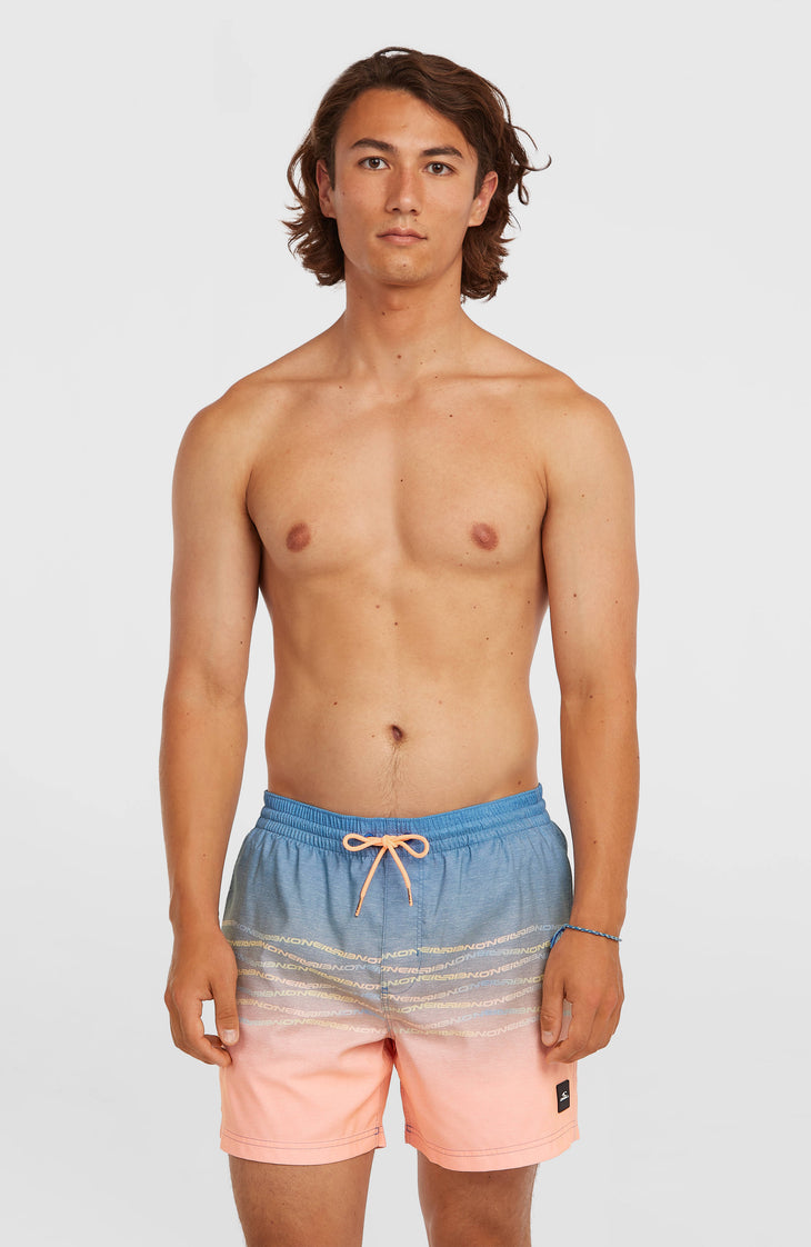 O'Neill First 15'' Badehose | Blue Heritage O'Neill Flip