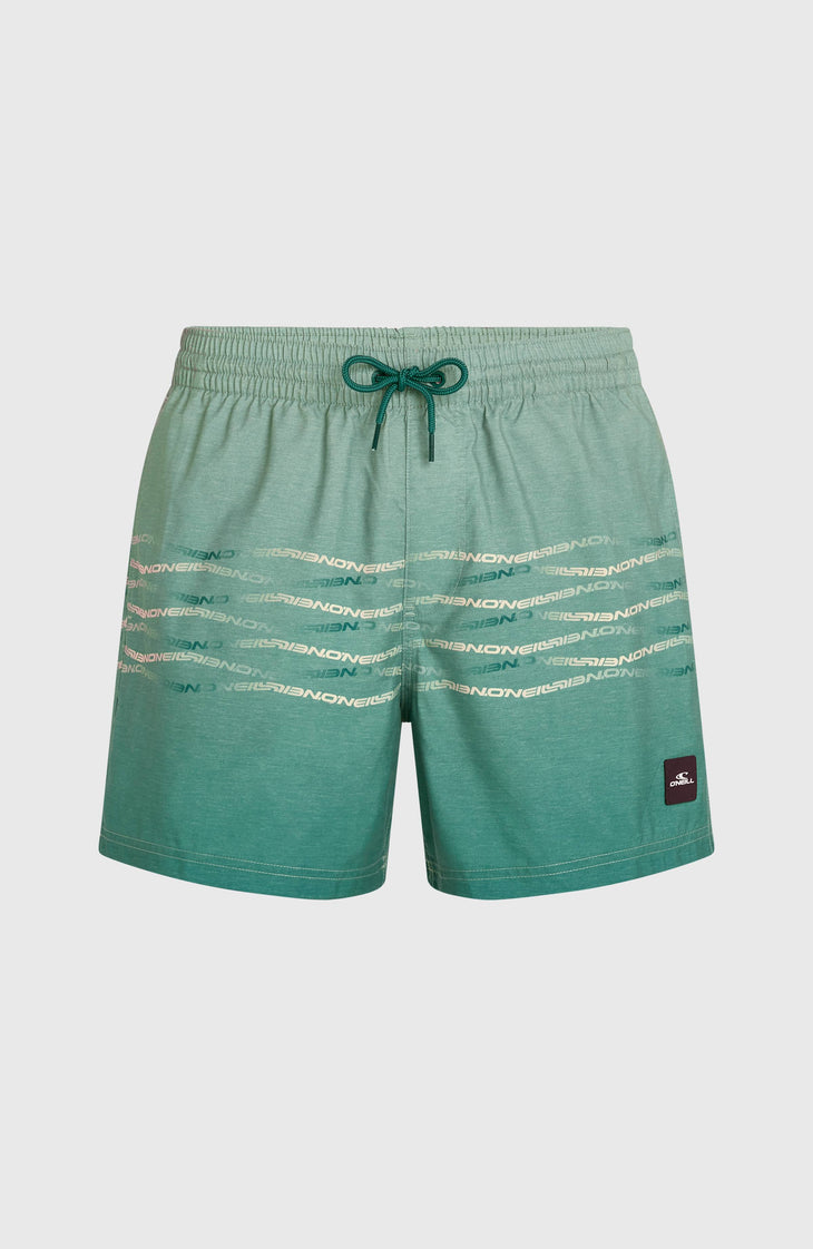 O'Neill First 15'' Badehose | Green Heritage O'Neill Flip