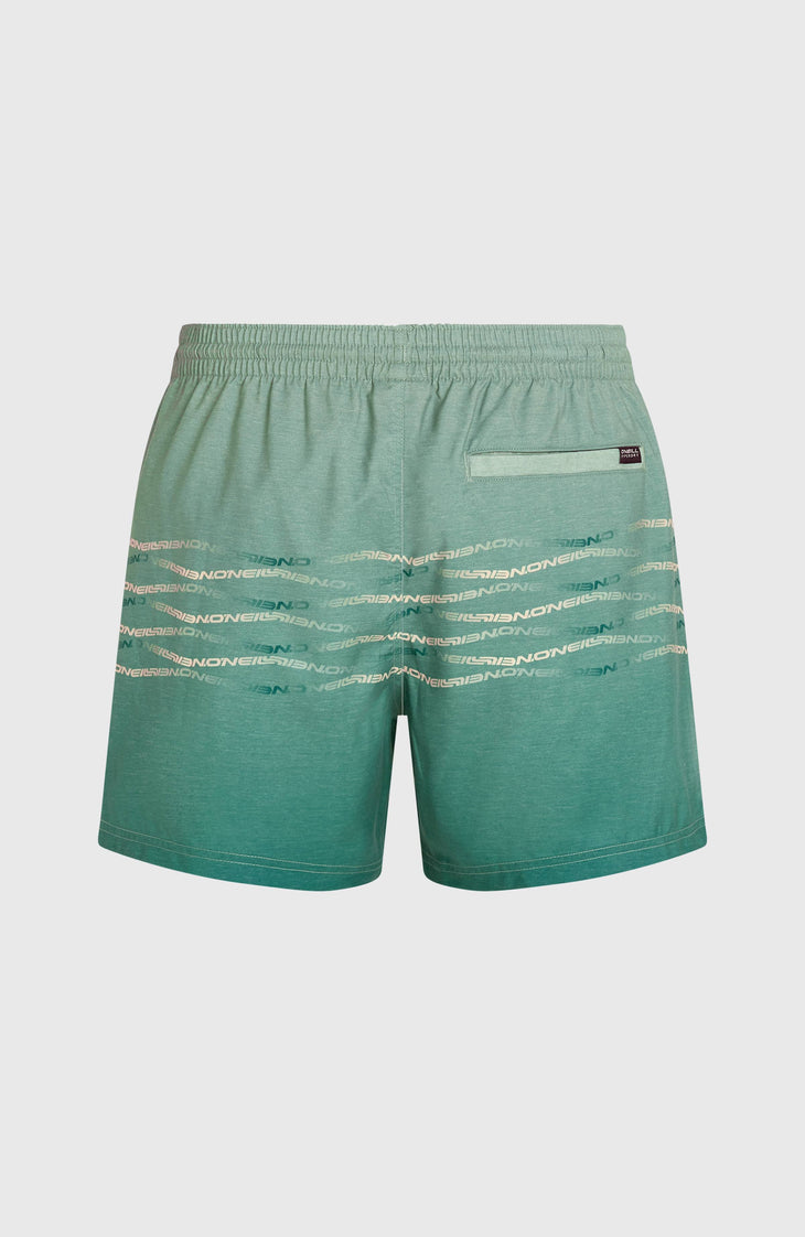 O'Neill First 15'' Badehose | Green Heritage O'Neill Flip
