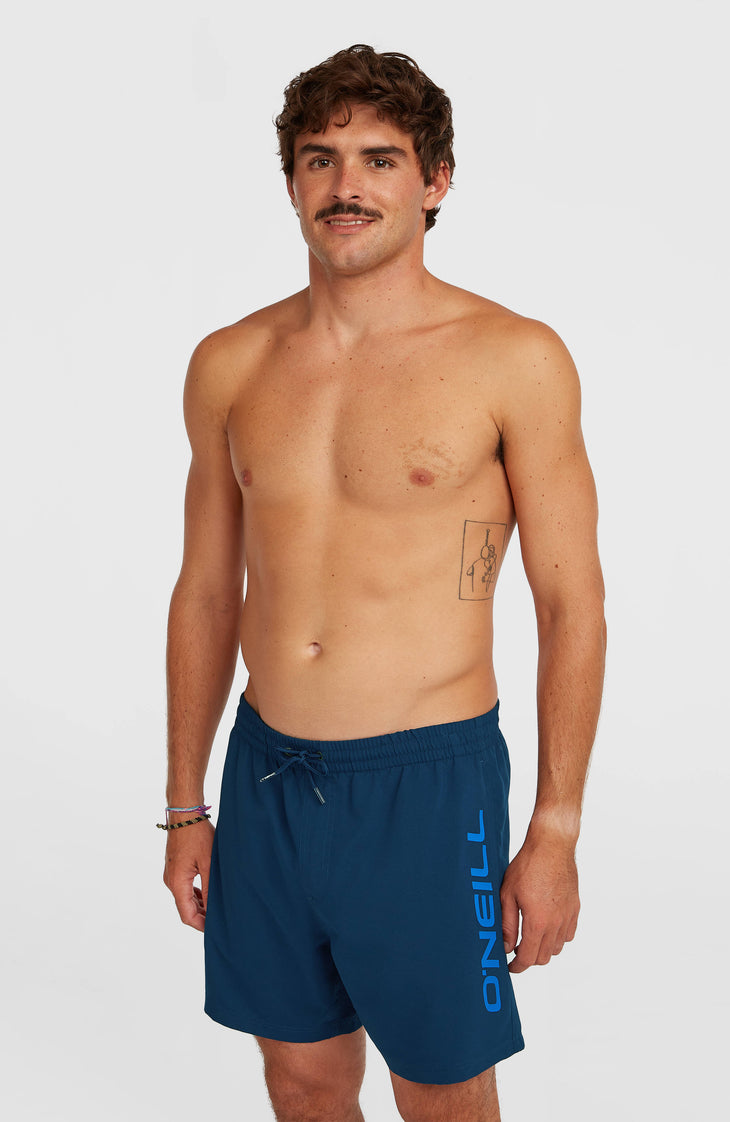 O'Neill Logo 16'' Badehose | English Evening