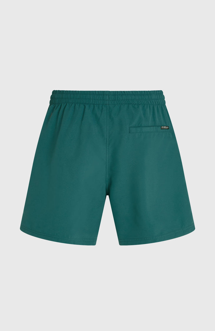 O'Neill Logo 16'' Badehose | Botanical Heat