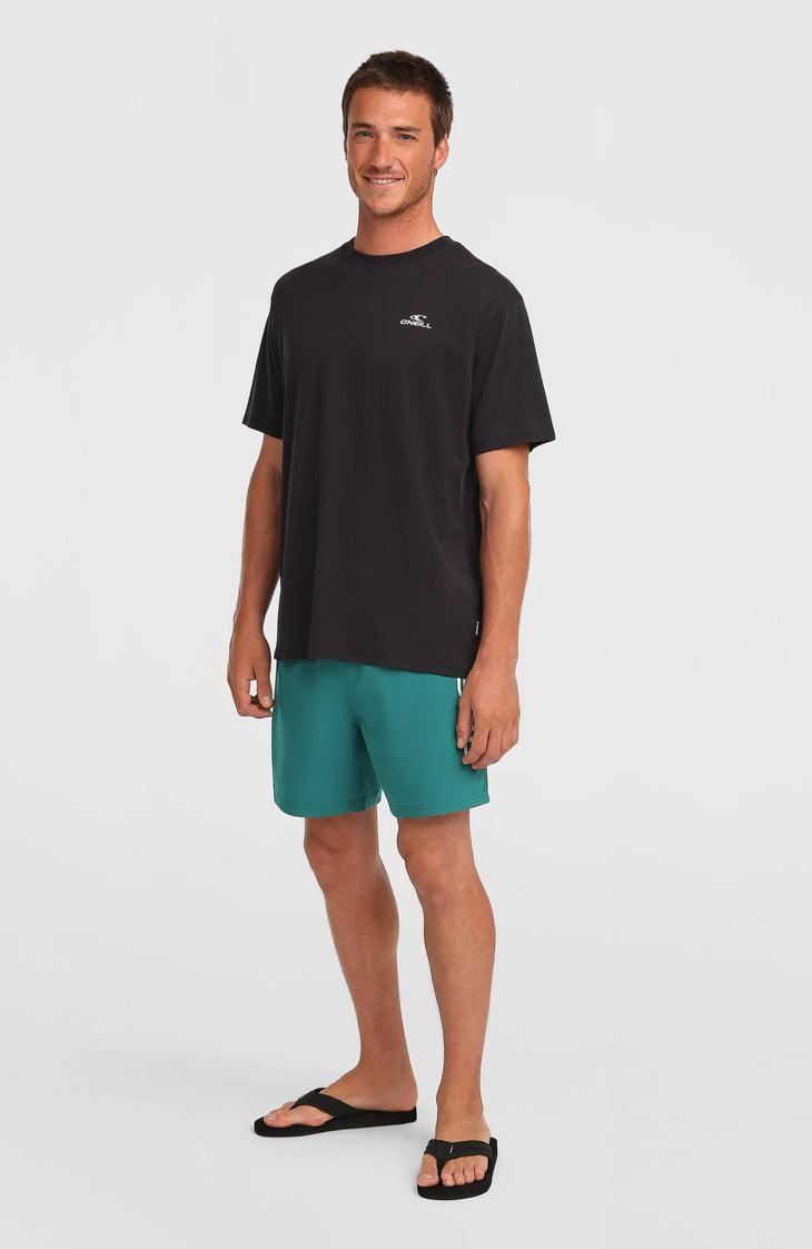 O'Neill Logo 16'' Badehose | Botanical Heat