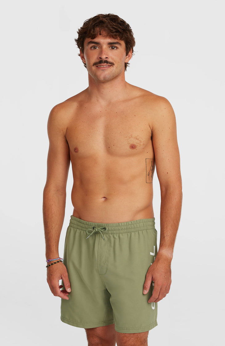 O'Neill Logo 16'' Badehose | Avery Fern