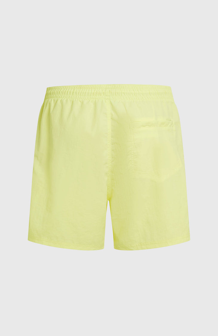 O'Neill Vert 16'' Badehose | Rainforest Dew