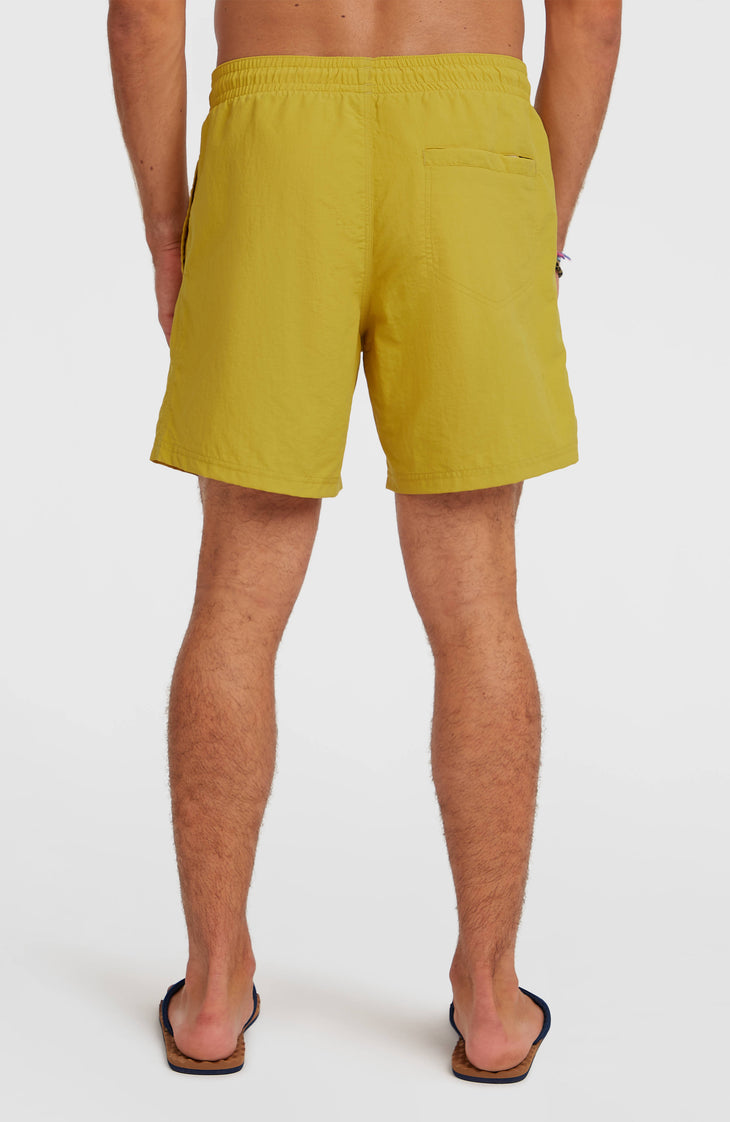 O'Neill Vert 16'' Badehose | Angel Fern