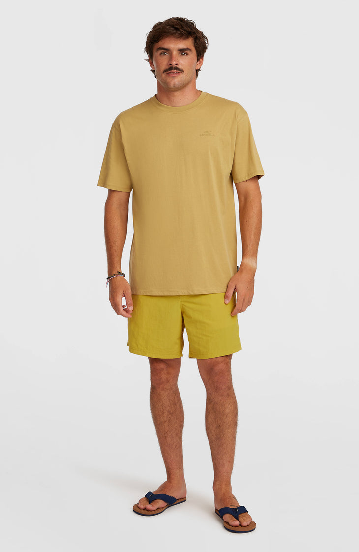 O'Neill Vert 16'' Badehose | Angel Fern