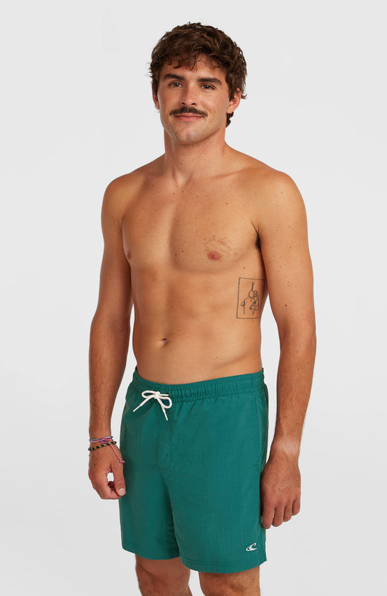 O'Neill Vert 16'' Badehose | Botanical Heat