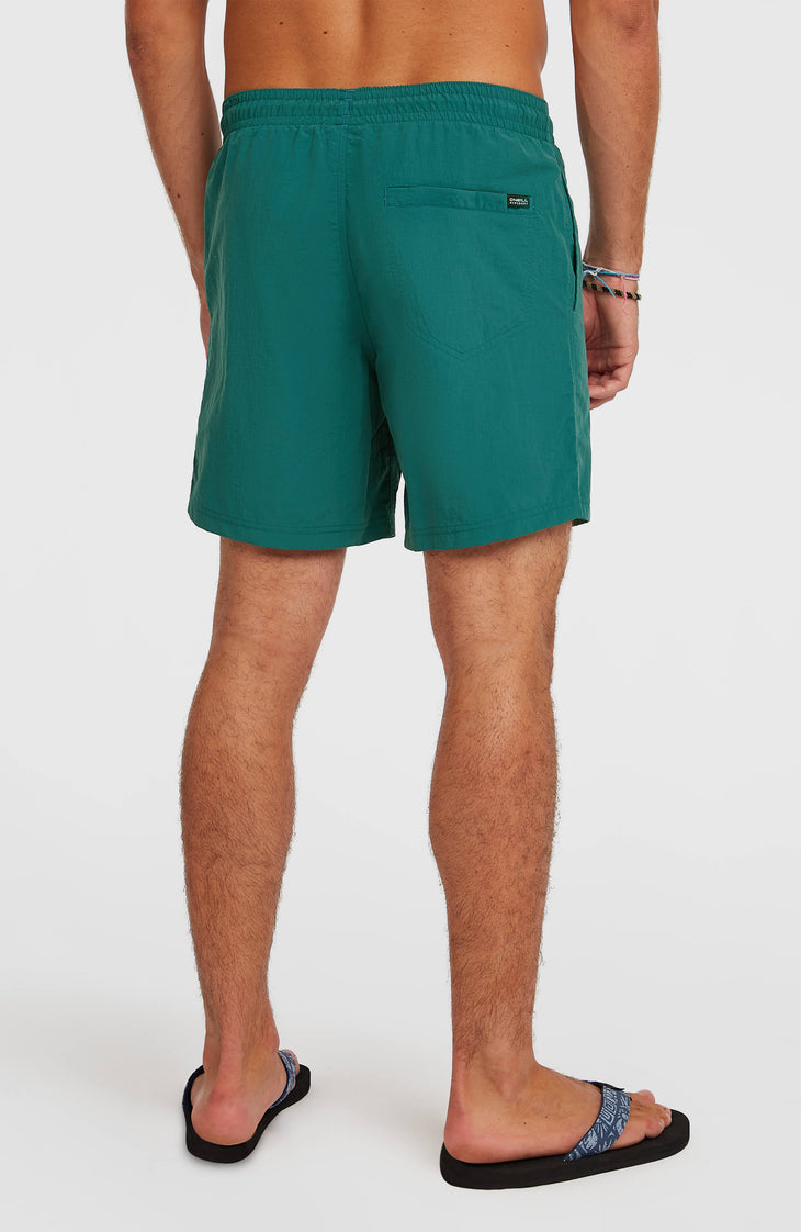O'Neill Vert 16'' Badehose | Botanical Heat