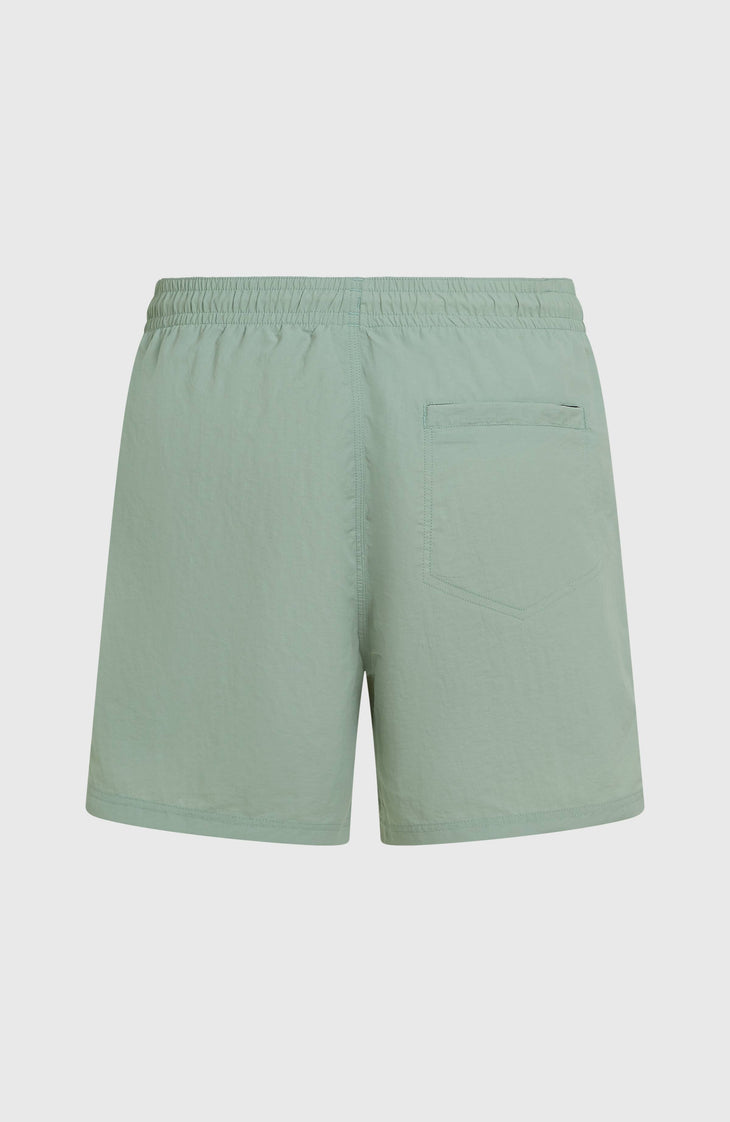 O'Neill Vert 16'' Badehose | Marble Arch