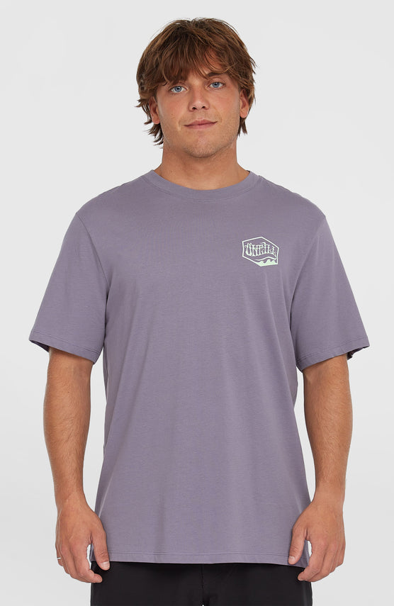 Box Logo T-Shirt | Storm