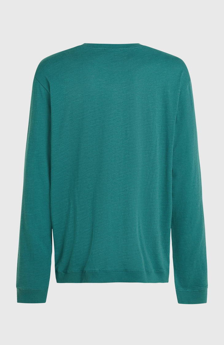 O'Neill Slub Langarmshirt | Botanical Heat