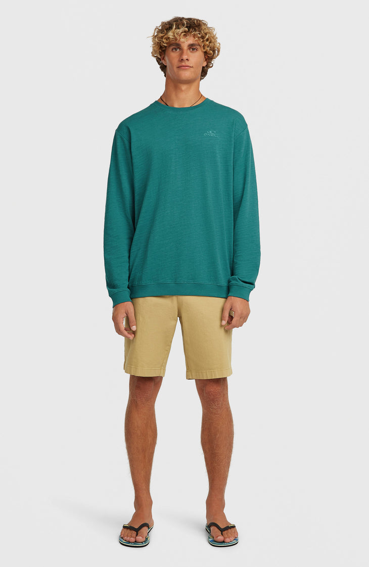 O'Neill Slub Langarmshirt | Botanical Heat