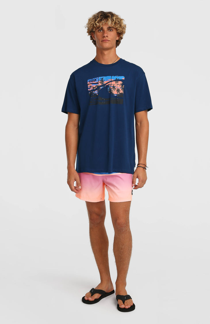 O'Neill Gradient T-Shirt | English Evening