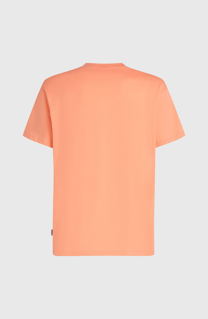 O'Neill Logo Stripe T-Shirt | Funky Peach