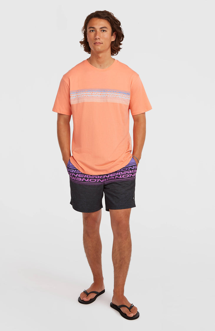 O'Neill Logo Stripe T-Shirt | Funky Peach