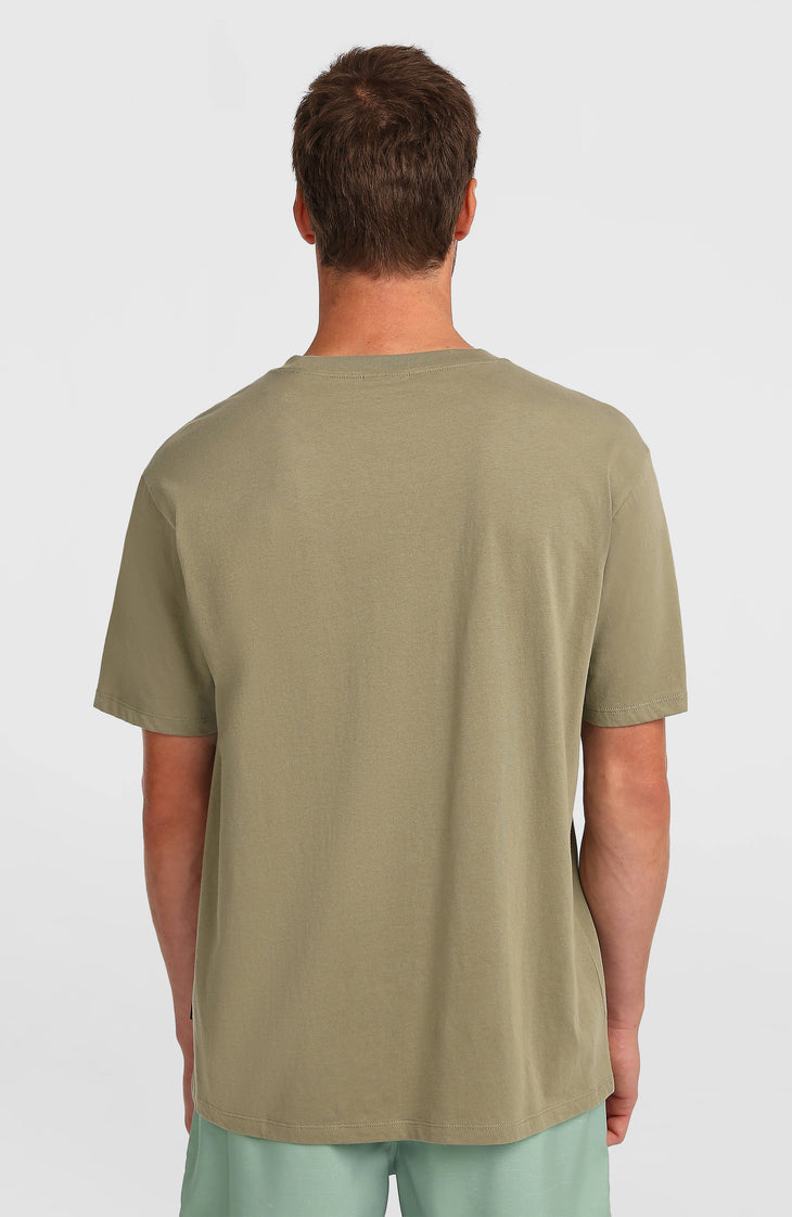 O'Neill Flower Stripe T-Shirt | Avery Fern
