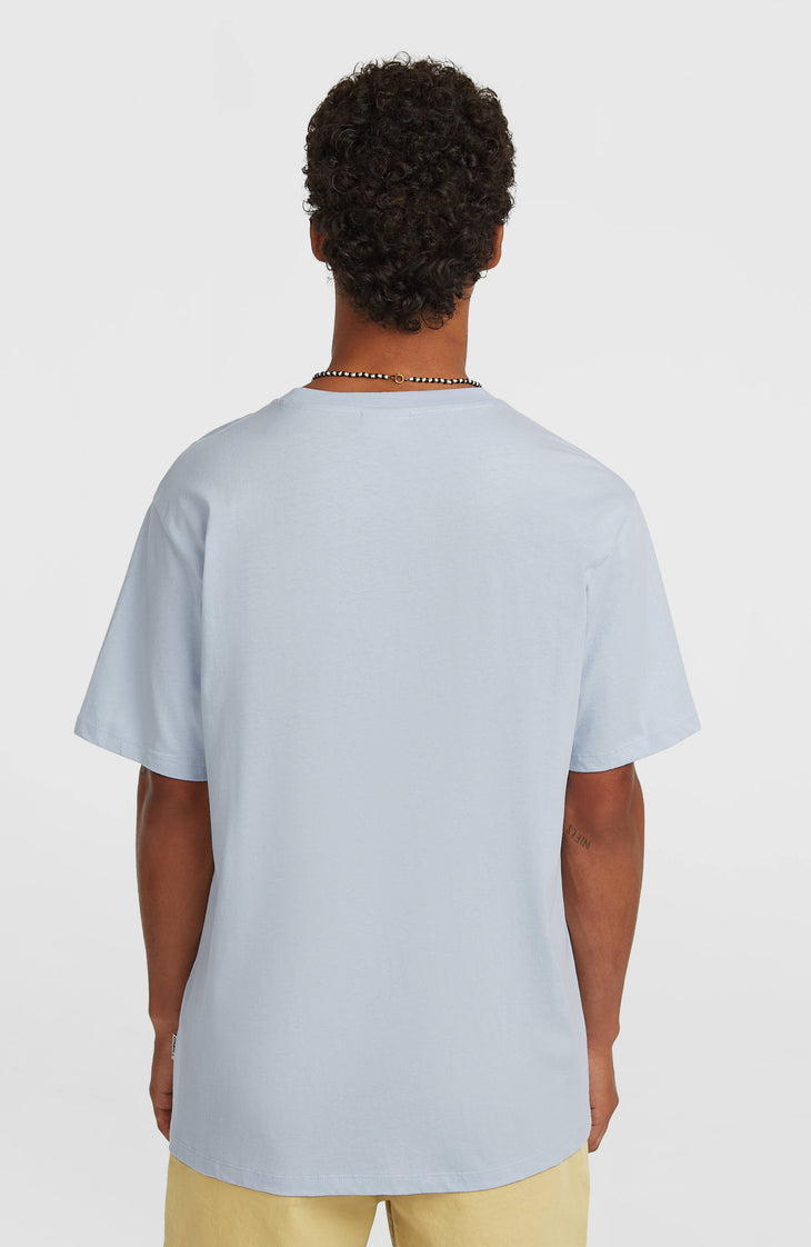 O'Neill Must-Have Graphic T-Shirt | Spindle