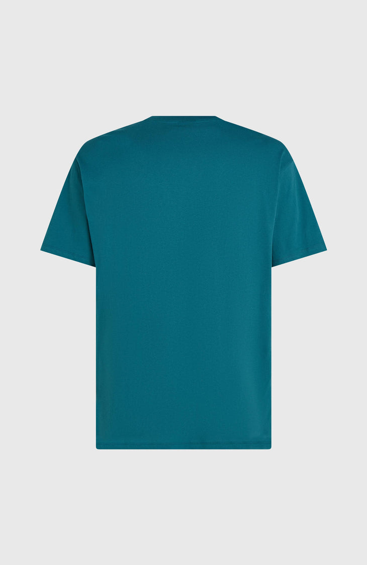 Chest-Print T-Shirt | Botanical Heat
